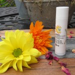 Healing Lip balm